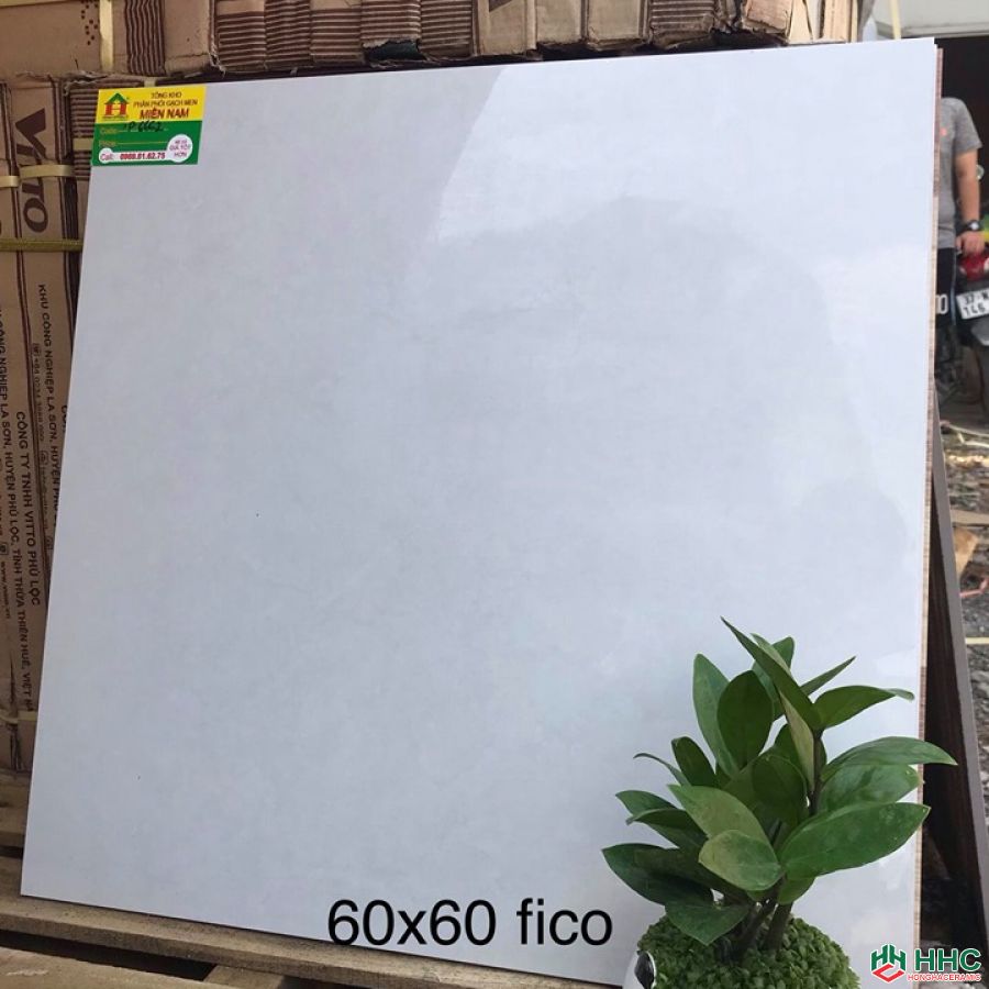 Gạch lát nền đẹp 60x60 P6662